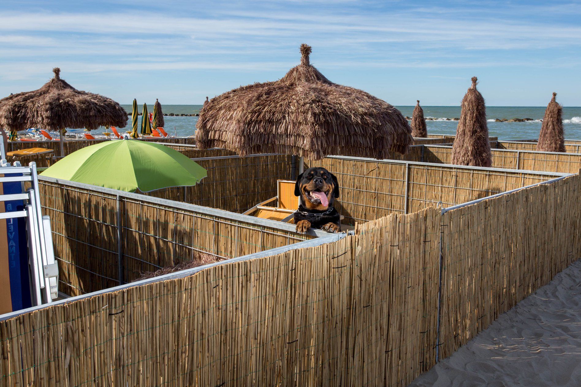 scooby-doo-beach-campomarino-cb-prenotazione-online-spiagge-it