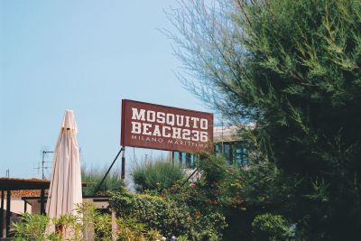 Mosquito Beach 236