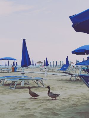 Spiaggia 121 Rimini