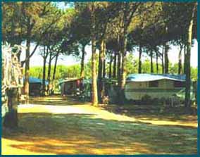Camping Zadina